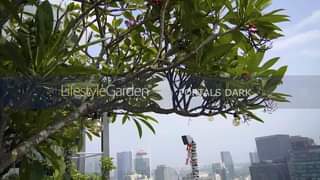 Lifestyle Garden´s Portals Dark collection provides you with a genuine